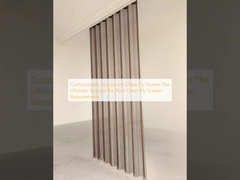 Pantalla de mosca de cadena de aluminio personalizable La solución definitiva para sus requisitos de pantalla de mosca de cadena