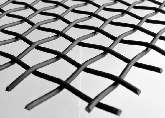 alambre de aluminio Mesh Facade Cladding de la encrespadura el 1×3m doble de 10m m